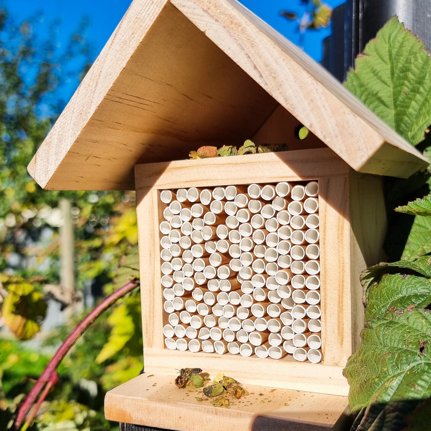 Leafcutter Bee Home Garden Starter Kit