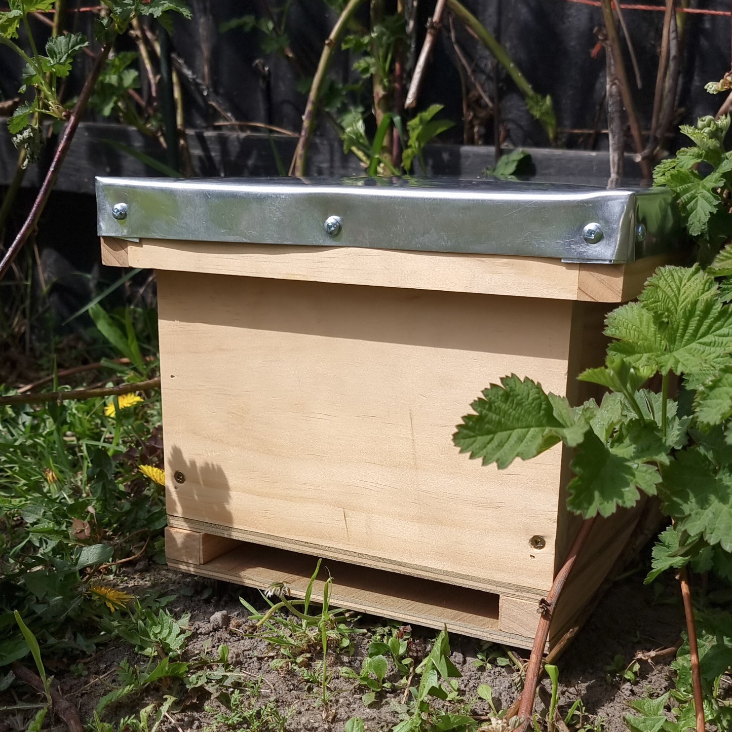 Bumble Bee Nesting Box