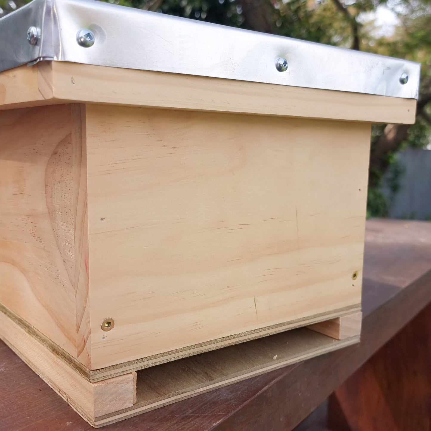 Bumble Bee Nesting Box