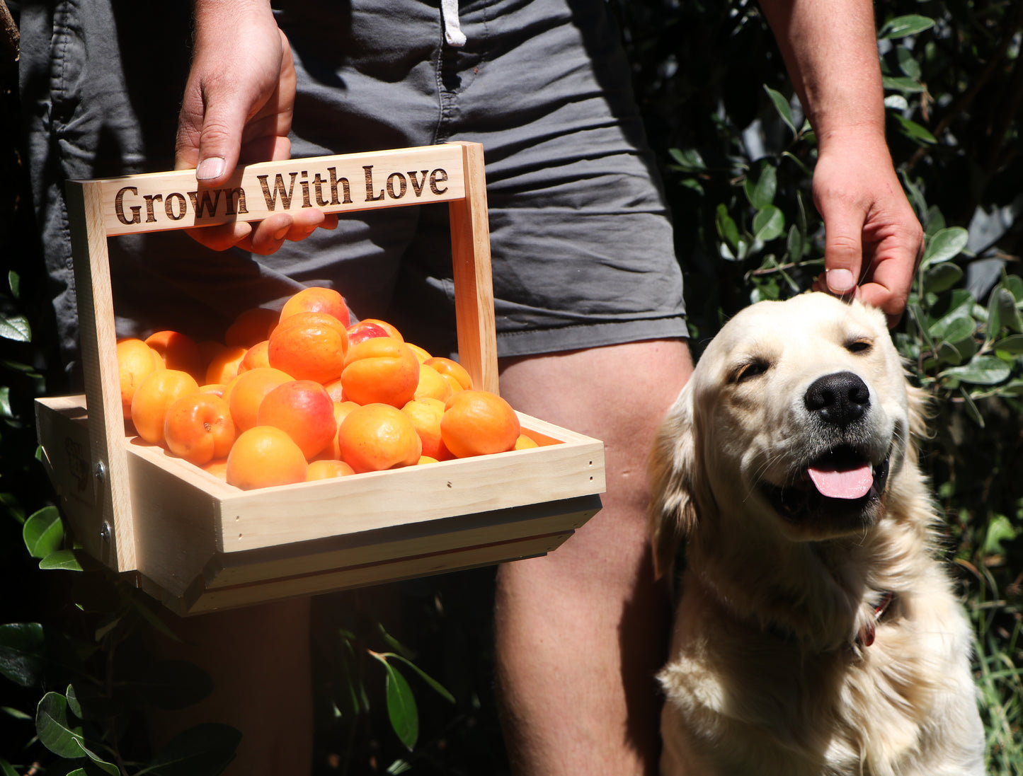 Garden Trug