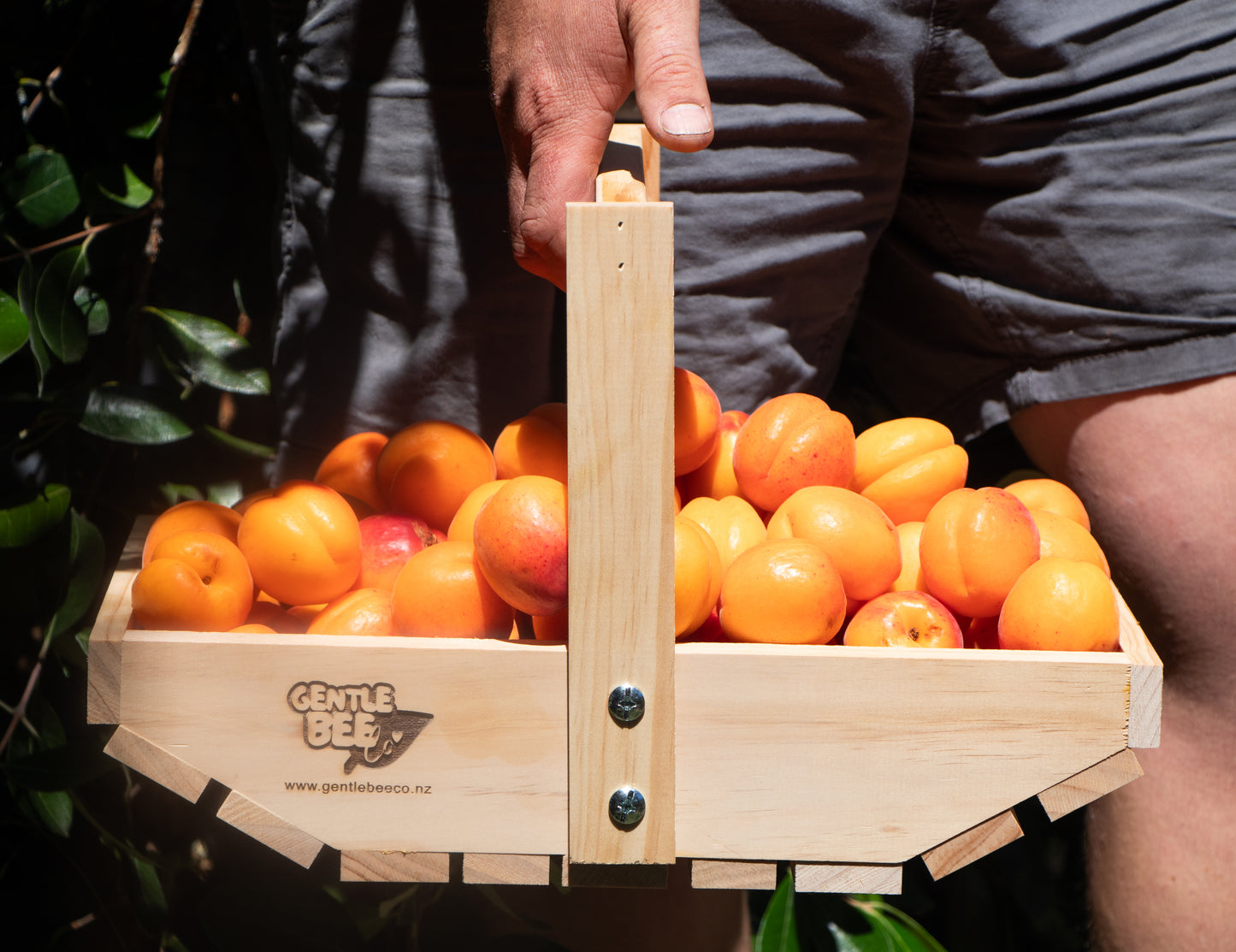 Garden Trug