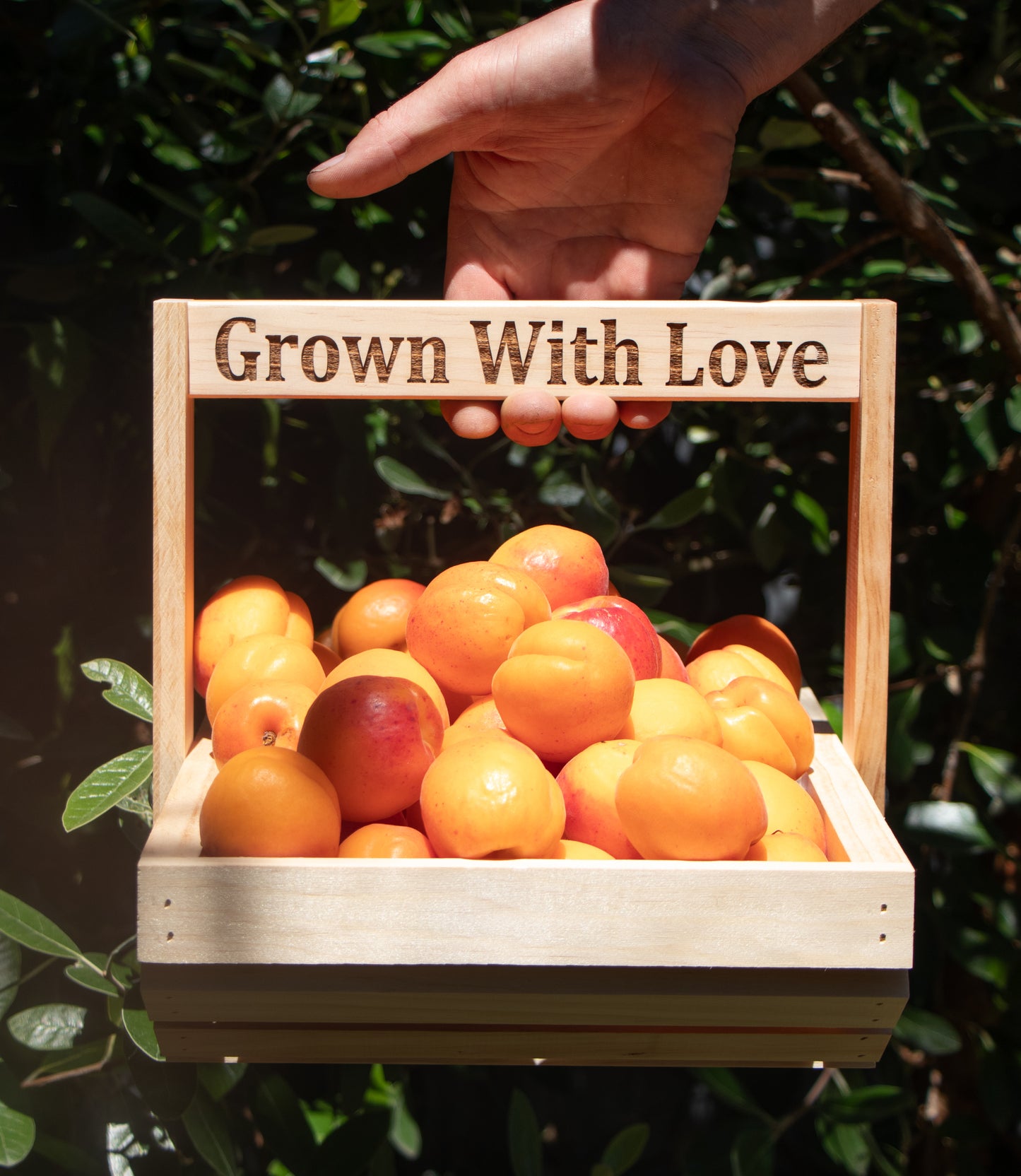 Garden Trug