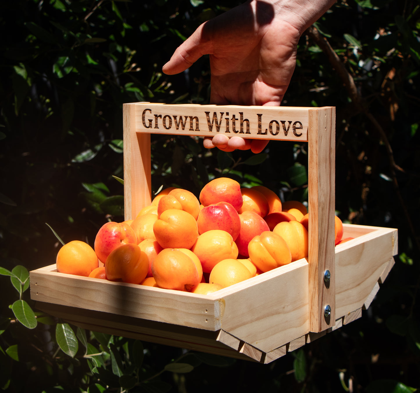 Garden Trug