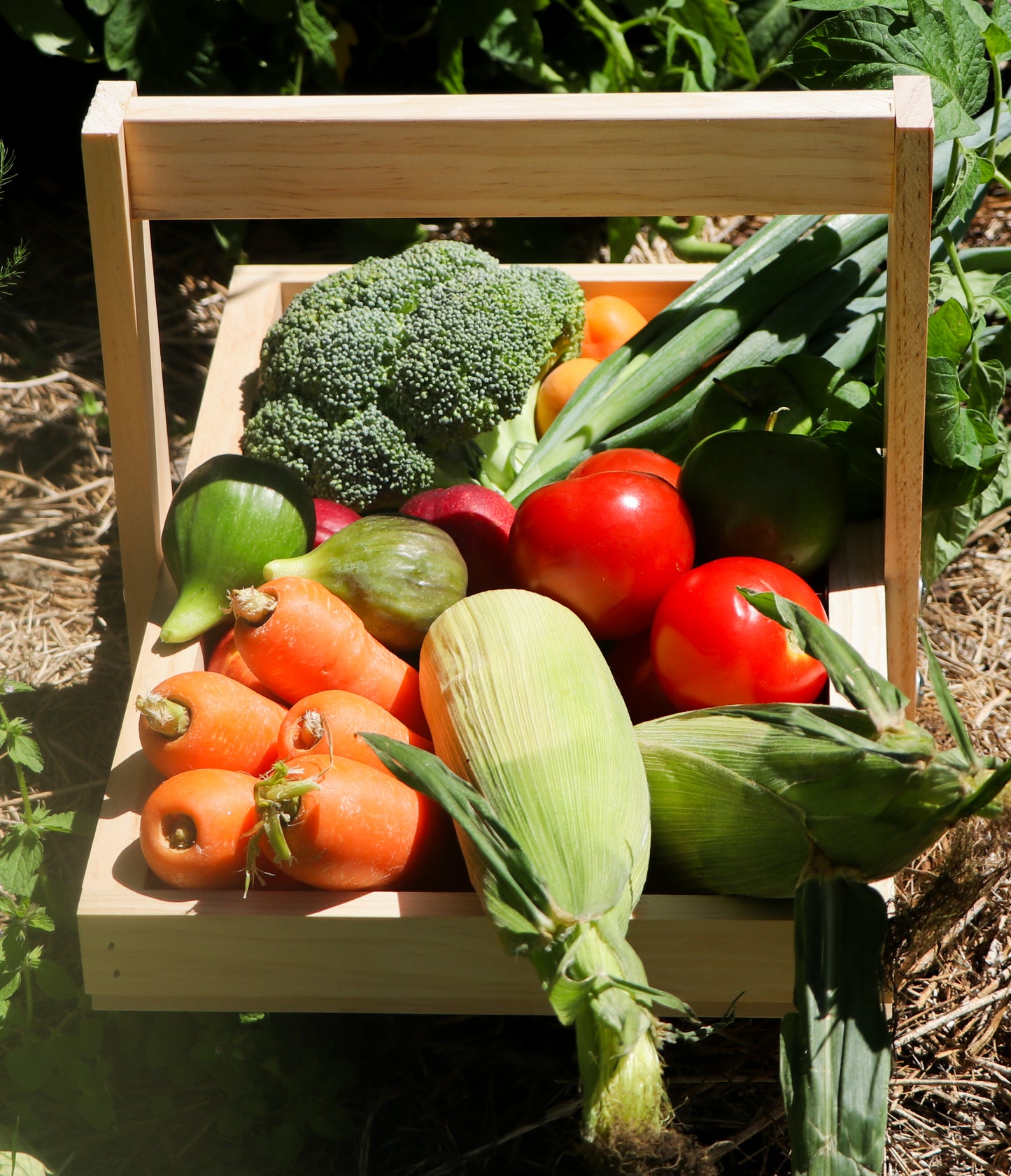 Garden Trug