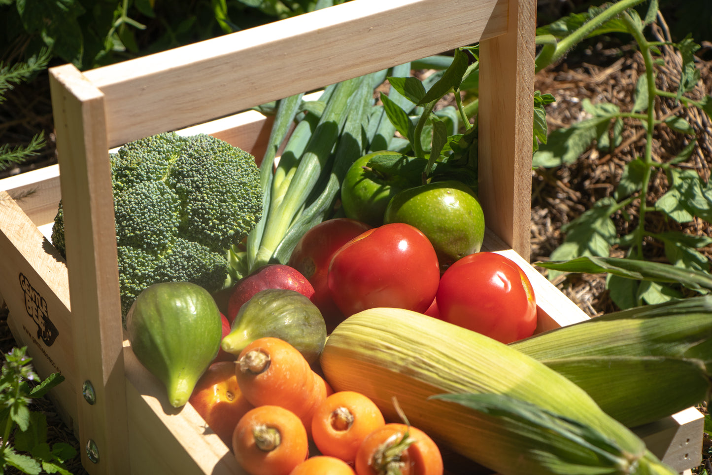 Garden Trug