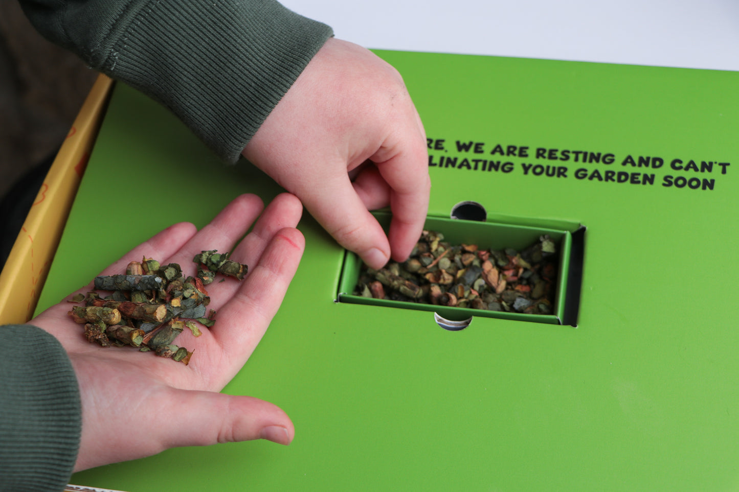 Leafcutter Bee Home Garden Starter Kit