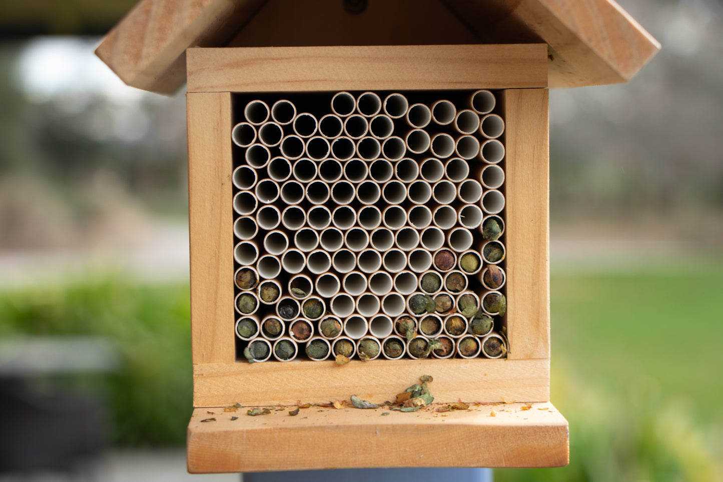 Leafcutter Bee Home Garden Starter Kit