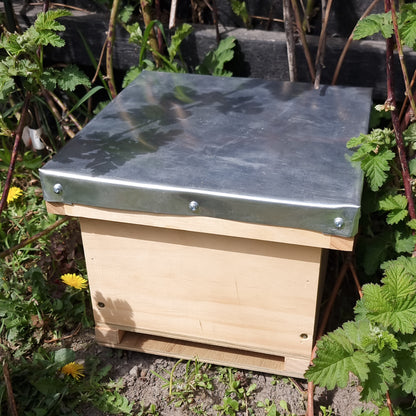 Bumble Bee Nesting Box