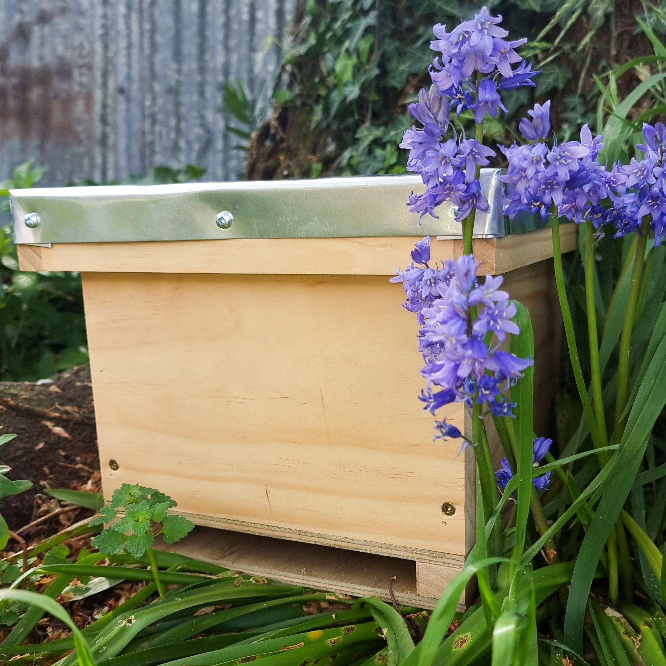 Bumble Bee Nesting Box – Gentle Bee Co